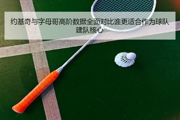 约基奇与字母哥高阶数据全面对比谁更适合作为球队建队核心